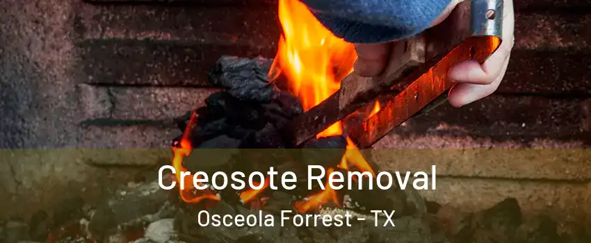 Creosote Removal Osceola Forrest - TX