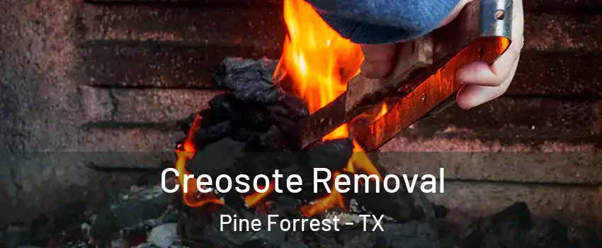 Creosote Removal Pine Forrest - TX