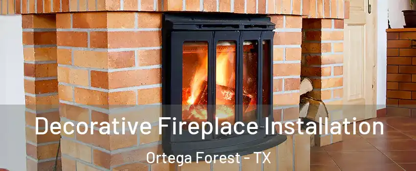 Decorative Fireplace Installation Ortega Forest - TX