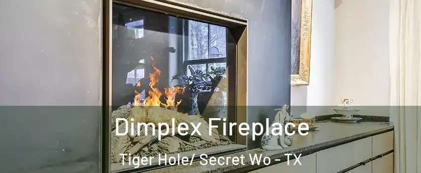 Dimplex Fireplace Tiger Hole/ Secret Wo - TX
