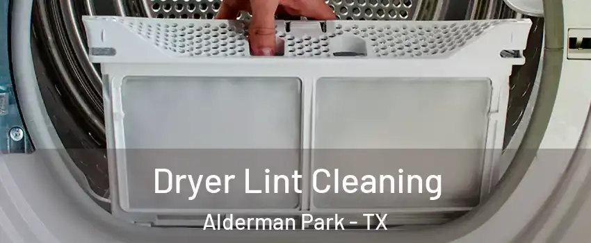 Dryer Lint Cleaning Alderman Park - TX