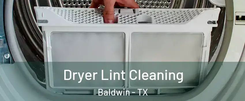 Dryer Lint Cleaning Baldwin - TX