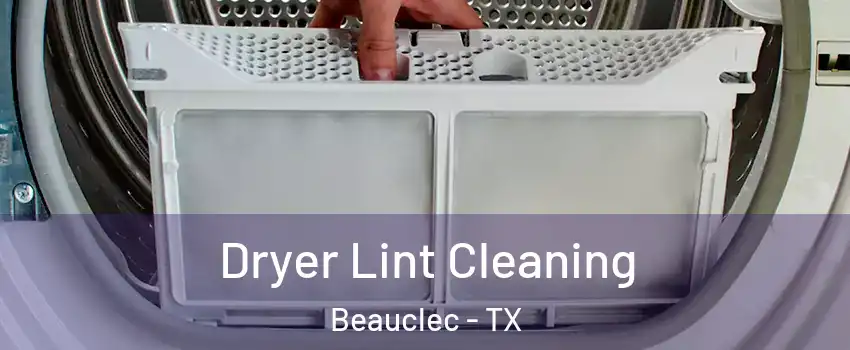 Dryer Lint Cleaning Beauclec - TX