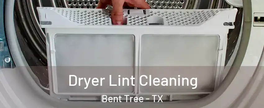 Dryer Lint Cleaning Bent Tree - TX