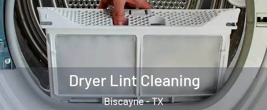 Dryer Lint Cleaning Biscayne - TX
