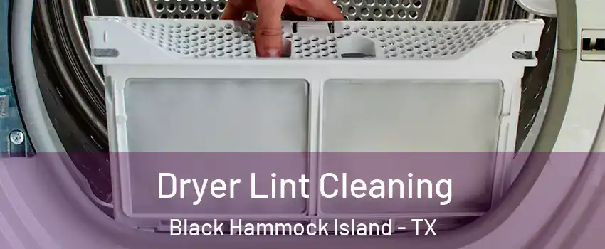 Dryer Lint Cleaning Black Hammock Island - TX