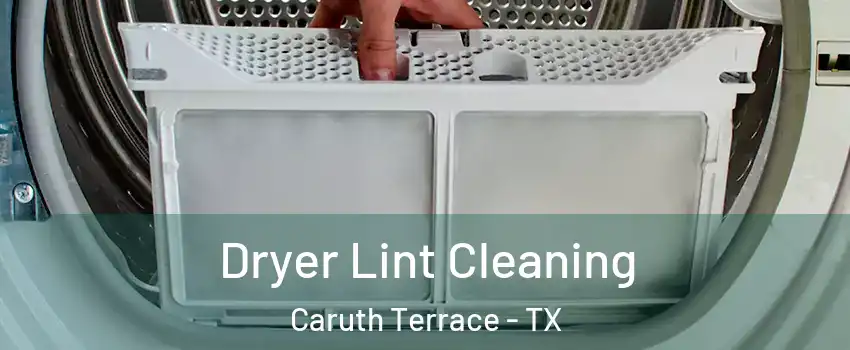 Dryer Lint Cleaning Caruth Terrace - TX