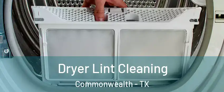 Dryer Lint Cleaning Commonwealth - TX