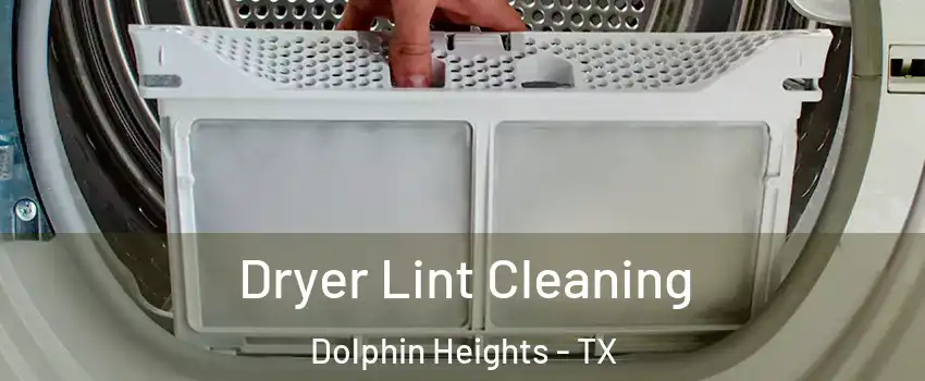 Dryer Lint Cleaning Dolphin Heights - TX