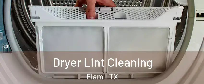 Dryer Lint Cleaning Elam - TX