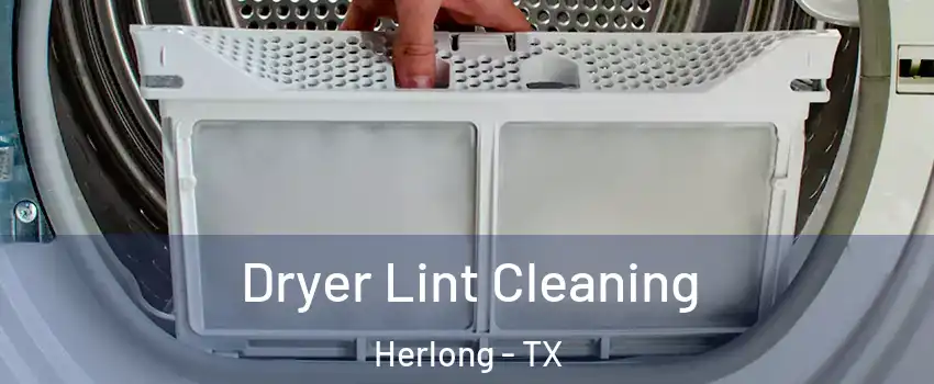 Dryer Lint Cleaning Herlong - TX
