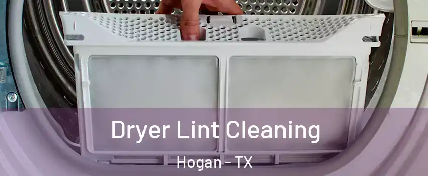 Dryer Lint Cleaning Hogan - TX