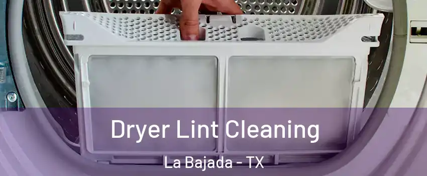 Dryer Lint Cleaning La Bajada - TX