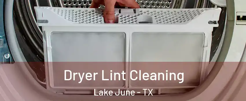 Dryer Lint Cleaning Lake June - TX
