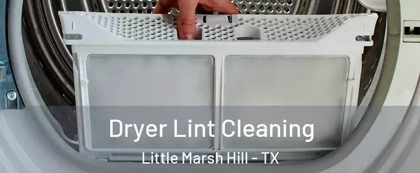 Dryer Lint Cleaning Little Marsh Hill - TX