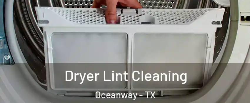 Dryer Lint Cleaning Oceanway - TX