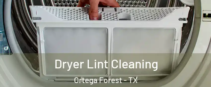 Dryer Lint Cleaning Ortega Forest - TX