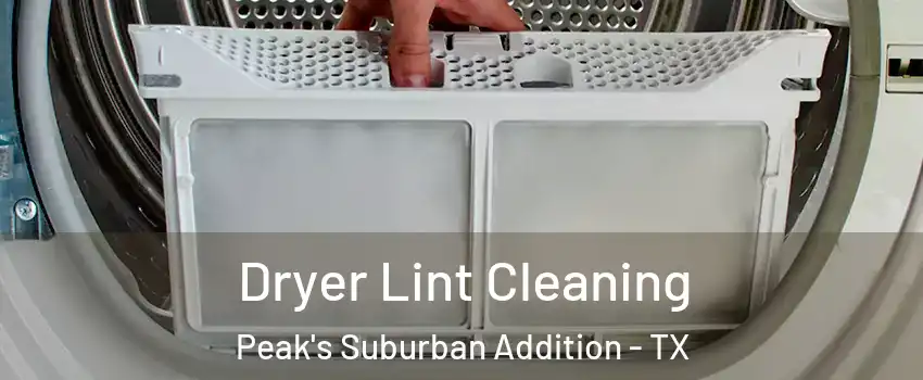 Dryer Lint Cleaning Peak's Suburban Addition - TX