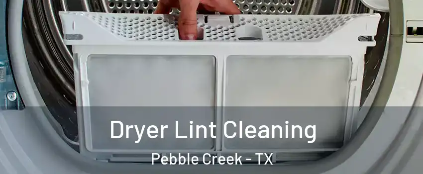 Dryer Lint Cleaning Pebble Creek - TX