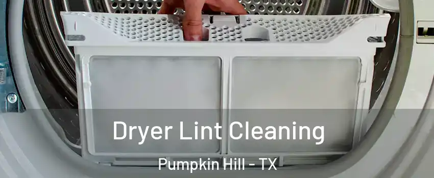 Dryer Lint Cleaning Pumpkin Hill - TX