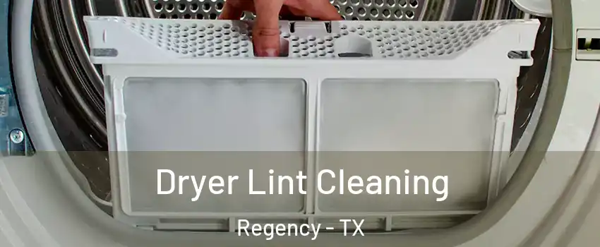 Dryer Lint Cleaning Regency - TX