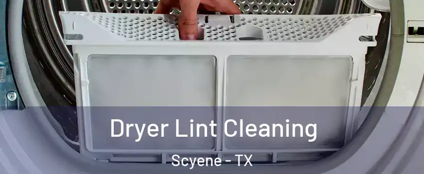 Dryer Lint Cleaning Scyene - TX