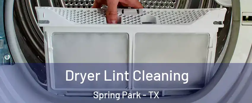 Dryer Lint Cleaning Spring Park - TX