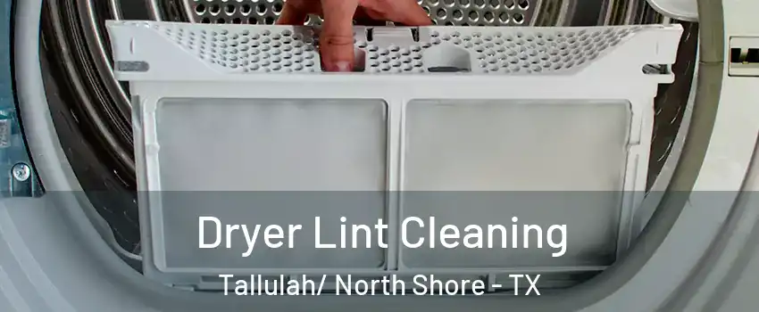 Dryer Lint Cleaning Tallulah/ North Shore - TX