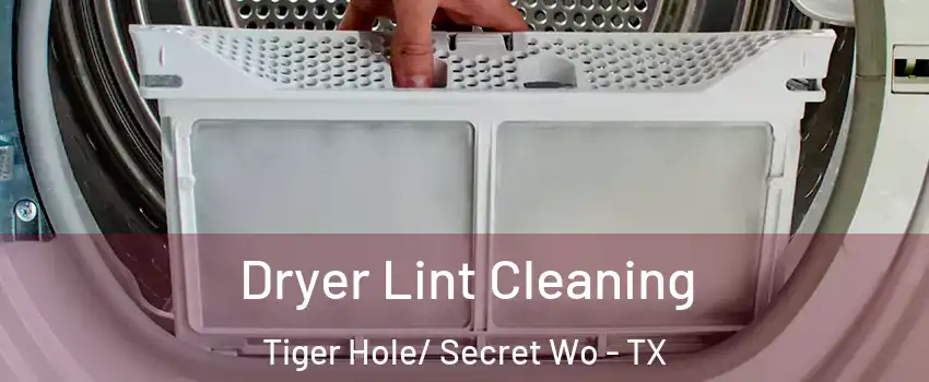 Dryer Lint Cleaning Tiger Hole/ Secret Wo - TX