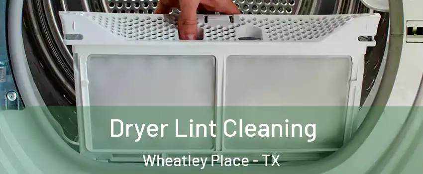 Dryer Lint Cleaning Wheatley Place - TX