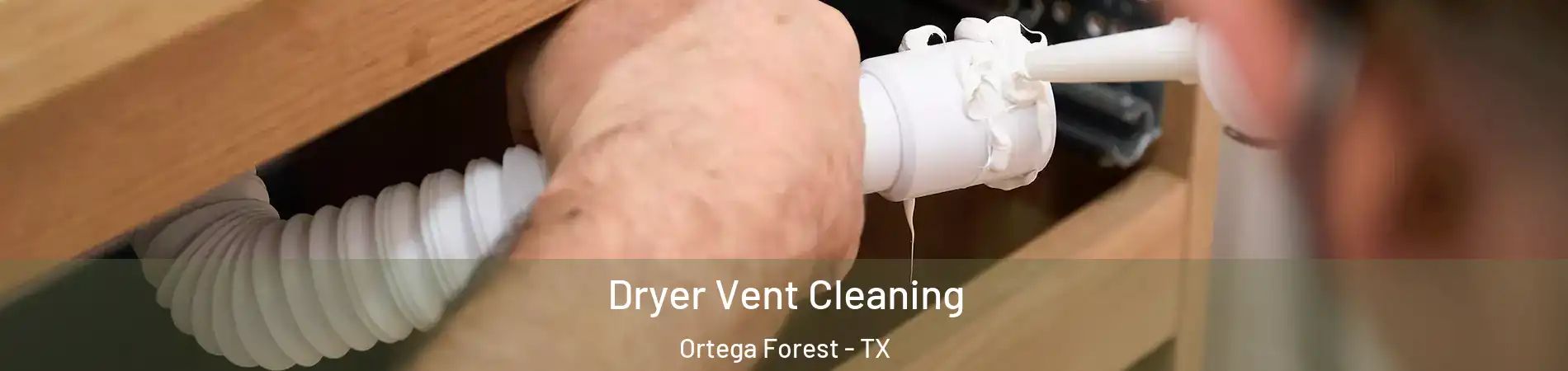 Dryer Vent Cleaning Ortega Forest - TX