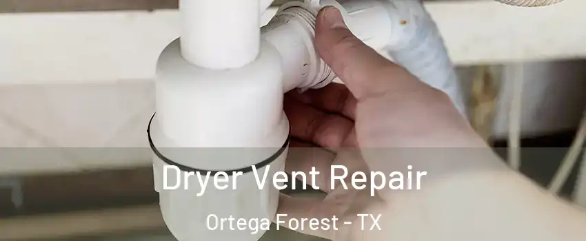 Dryer Vent Repair Ortega Forest - TX