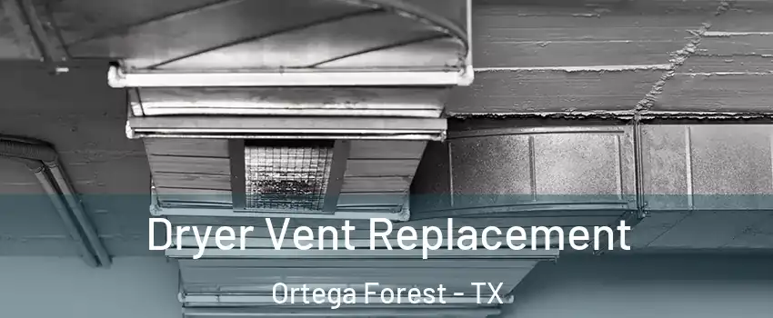 Dryer Vent Replacement Ortega Forest - TX