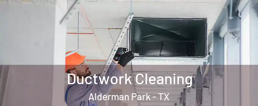 Ductwork Cleaning Alderman Park - TX