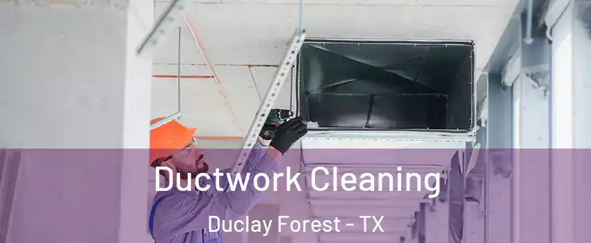 Ductwork Cleaning Duclay Forest - TX