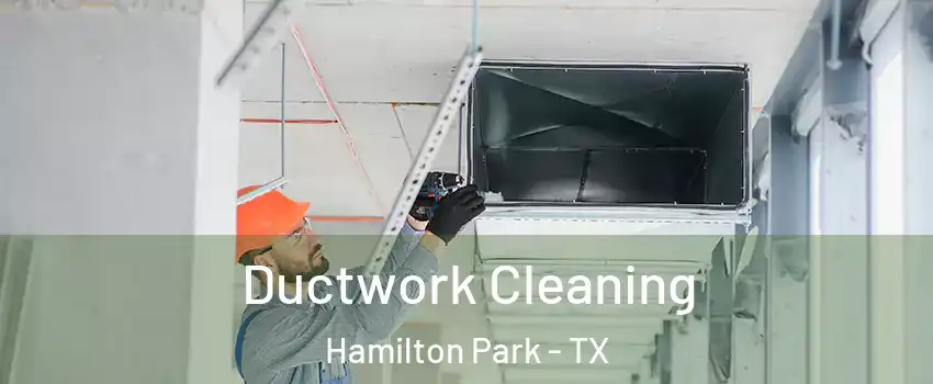 Ductwork Cleaning Hamilton Park - TX