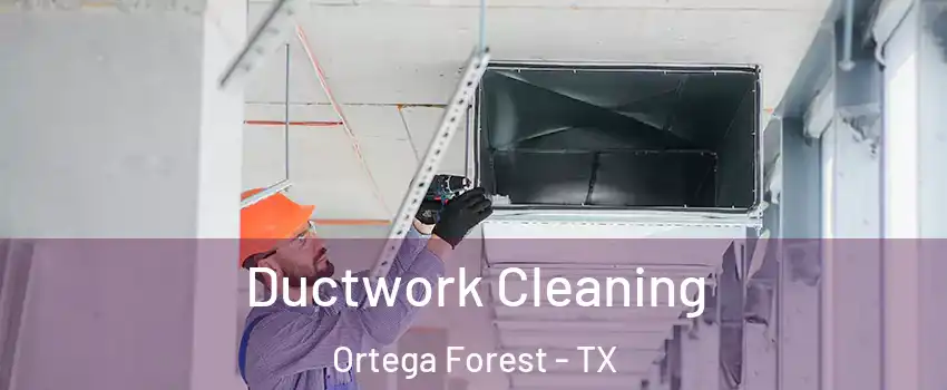 Ductwork Cleaning Ortega Forest - TX