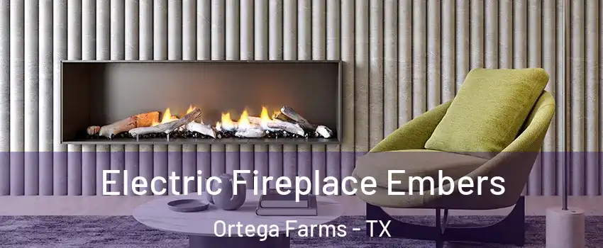 Electric Fireplace Embers Ortega Farms - TX