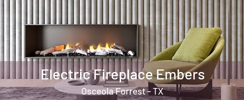 Electric Fireplace Embers Osceola Forrest - TX