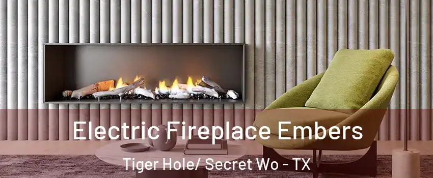 Electric Fireplace Embers Tiger Hole/ Secret Wo - TX