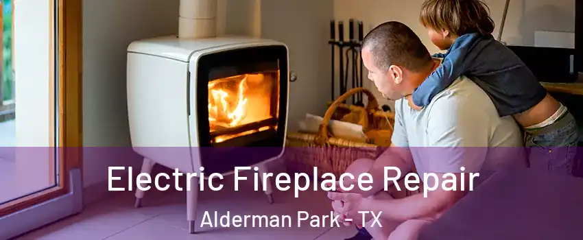 Electric Fireplace Repair Alderman Park - TX