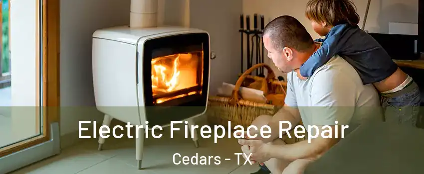 Electric Fireplace Repair Cedars - TX