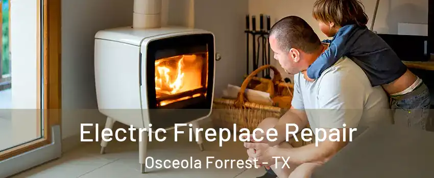 Electric Fireplace Repair Osceola Forrest - TX
