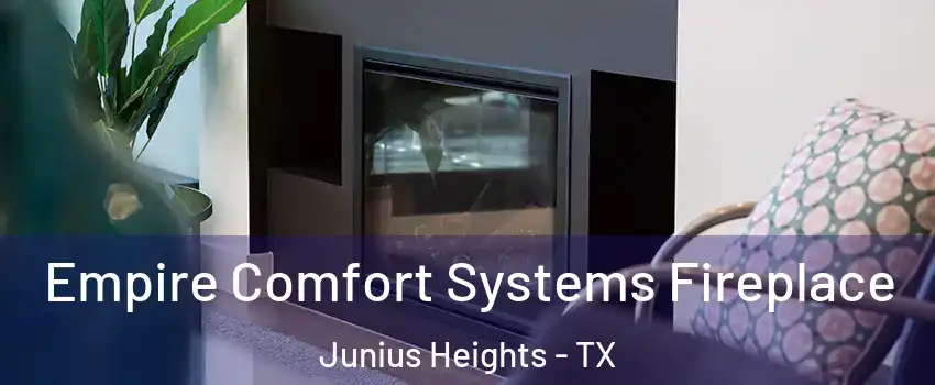 Empire Comfort Systems Fireplace Junius Heights - TX