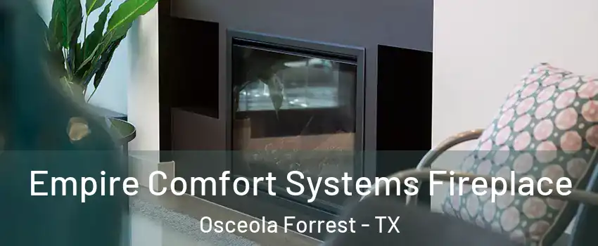 Empire Comfort Systems Fireplace Osceola Forrest - TX