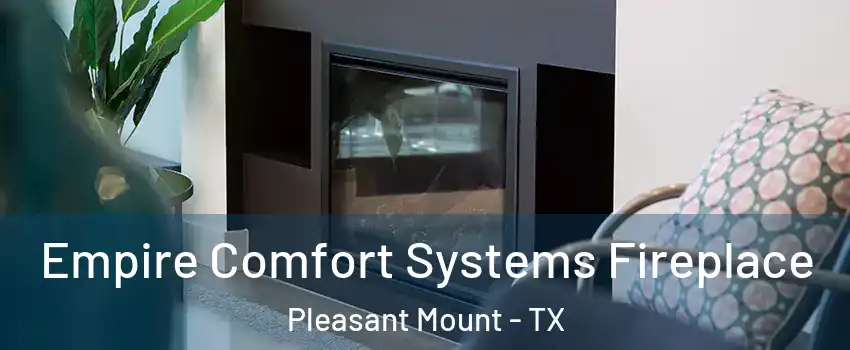 Empire Comfort Systems Fireplace Pleasant Mount - TX