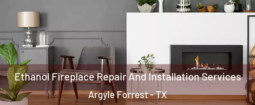 Ethanol Fireplace Repair And Installation Services Argyle Forrest - TX