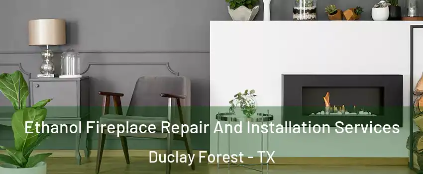 Ethanol Fireplace Repair And Installation Services Duclay Forest - TX