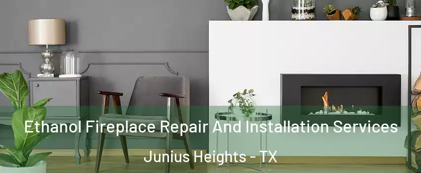 Ethanol Fireplace Repair And Installation Services Junius Heights - TX