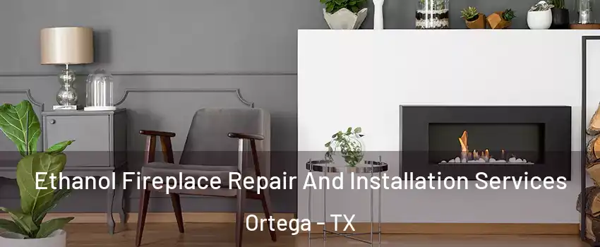 Ethanol Fireplace Repair And Installation Services Ortega - TX